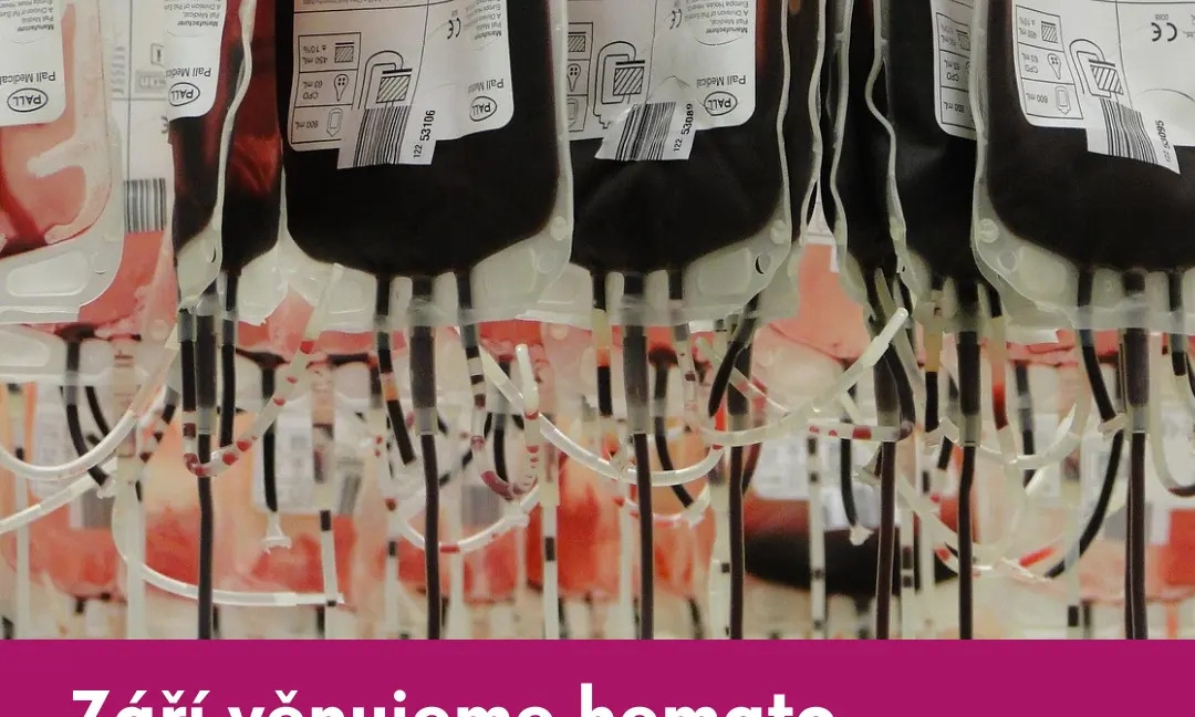 On-line Amelie v září - obrázek 1