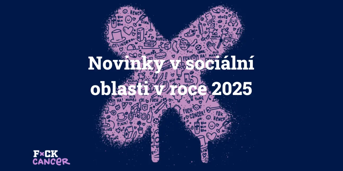 Novinky v sociální oblasti v roce 2025 - obrázek 1