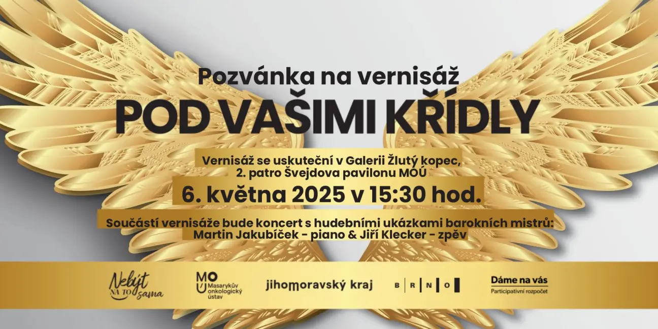 Vernisáž Pod vašimi křídly v Galerii Žlutý kopec - obrázek 1