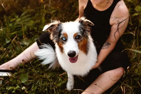 Monika Kamešová - příběh Hero - obrázek 6