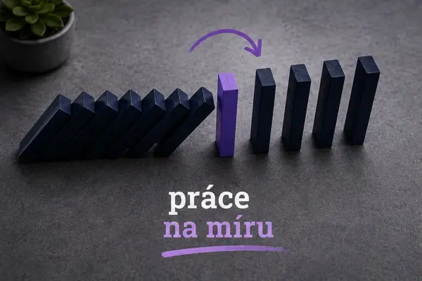 Možnosti nastavení zaměstnání na míru
