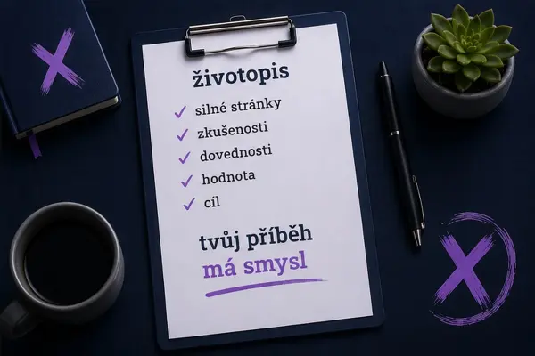 Audit a příprava životopisu